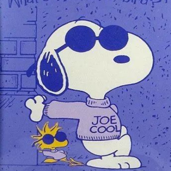 Meet your Posher, Jodie - Picture 2 of 2